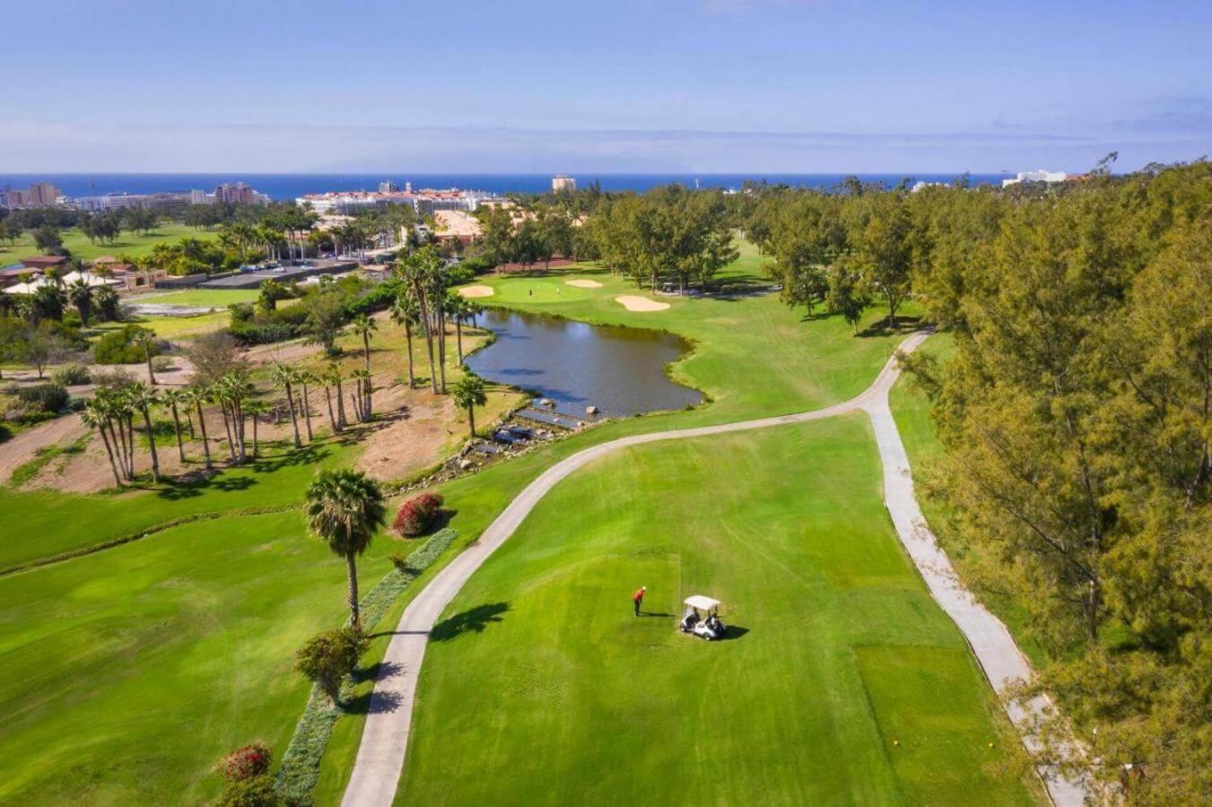 Luxury Suite Borinquen With Parking And Swimming Pool プラヤ・デ・ラス・アメリカス エクステリア 写真